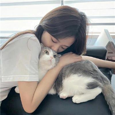 了不起的甄高贵